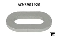 AGCO ACW3901920 Шайба с прорезью