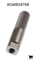 AGCO ACW4818760 Шатун