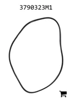 AGCO 3790323M1 Прокладка поршневой группы