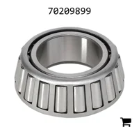 AGCO 70209899 Конический роликовый подшипник (конус)