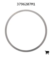 AGCO 3796207M1 Шайба