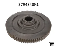 AGCO 3794848M1 Шестерня