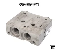 AGCO 3909869M1 Впускной клапан