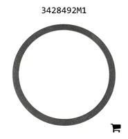 AGCO 3428492M1 Регулировочная шайба