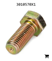 AGCO 3010570X1 Болт с шестигранной головкой