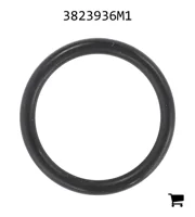 AGCO 3823936M1 Уплотнительное кольцо рычага переключения передач