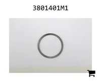 AGCO 3801401M1 Шайба