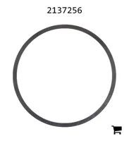 AGCO 2137256 Шайба