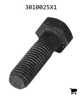 AGCO 3010025X1 Болт с шестигранной головкой