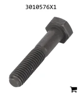 AGCO 3010576X1 Болт с шестигранной головкой
