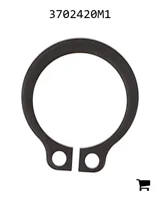 AGCO 3702420M1 Кольцо