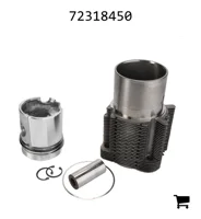 AGCO 72318450 Комплект