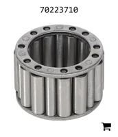 AGCO 70223710 Игольчатый роликовый подшипник