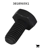 AGCO 3010969X1 Болт с шестигранной головкой