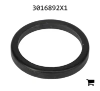 AGCO 3016892X1 Плоское уплотнение