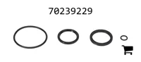 AGCO 70239229 Комплект уплотнений