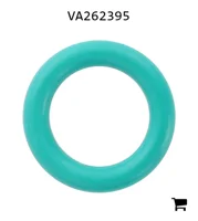 AGCO VA262395 Уплотнительное кольцо