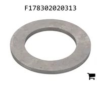 AGCO F178302020313 Диск