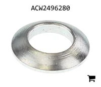 AGCO ACW2496280 Шайба
