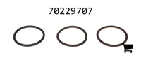 AGCO 70229707 Уплотнение
