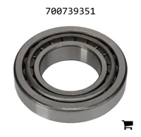 AGCO 700739351 Подшипник
