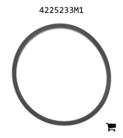 AGCO 4225233M1 Прокладка