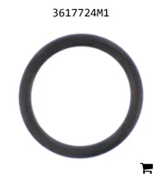AGCO 3617724M1 Заглушка