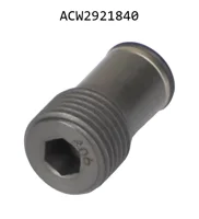 AGCO ACW2921840 Отверстие