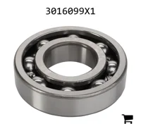 AGCO 3016099X1 Шариковый подшипник