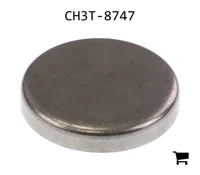 AGCO CH3T-8747 Заглушка