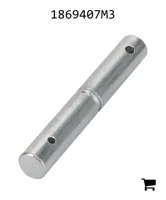 AGCO 1869407M3 Вал