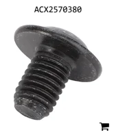 AGCO ACX2570380 Винт с головкой Torx