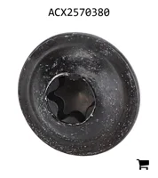 AGCO ACX2570380 Винт с головкой Torx