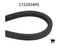 AGCO 1722836M1 Ремень