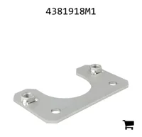 AGCO 4381918M1 Держатель