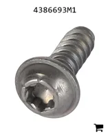 AGCO 4386693M1 Винт