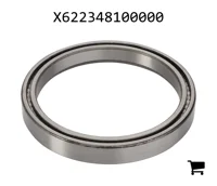 AGCO X622348100000 Роликовый подшипник