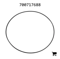 AGCO 700717688 Уплотнительное кольцо