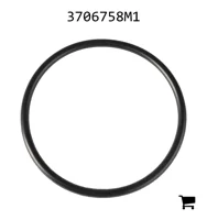 AGCO 3706758M1 Кольцо