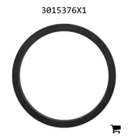 AGCO 3015376X1 Радиальное уплотнительное кольцо
