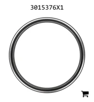 AGCO 3015376X1 Радиальное уплотнительное кольцо