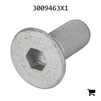 AGCO 3009463X1 Винт с потайной головкой