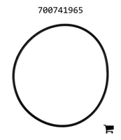 AGCO 700741965 Уплотнительное кольцо