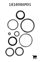 AGCO 1810986M91 Ремкомплект