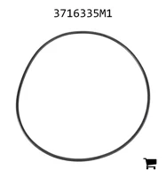 AGCO 3716335M1 Уплотнительное кольцо поршня заднего моста, Ø 246 x 5,33 мм