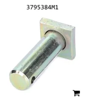 AGCO 3795384M1 Палец вилки