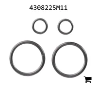 AGCO 4308225M11 Комплект сальников