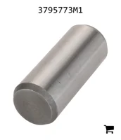 AGCO 3795773M1 Палец вилки