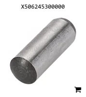 AGCO X506245300000 Штифт