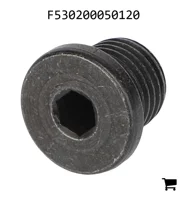 AGCO F530200050120 Винт-заглушка